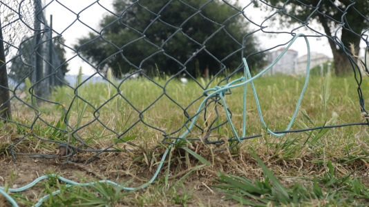 Parque Canino del Bertón