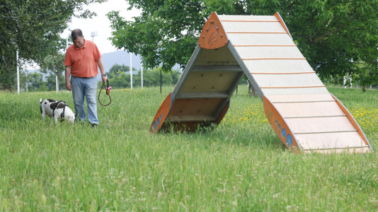 Parque Canino del Bertón