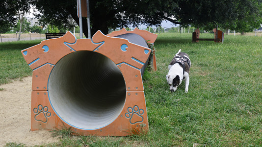 Parque Canino del Bertón