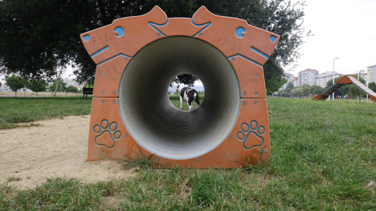 Parque Canino del Bertón
