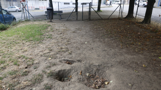 Parque Canino de Porta Nova