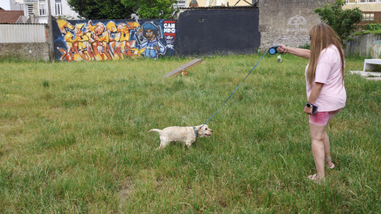 Parque Canino de Canido