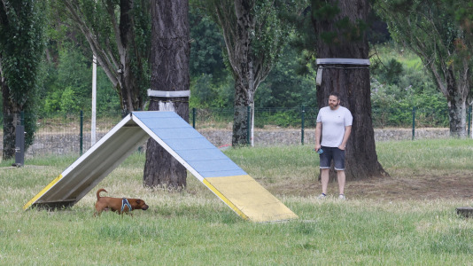 Parque Canino de Caranza