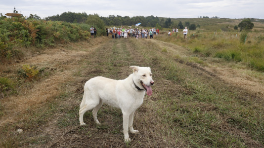 Batalla de Brión226 aniversario35ª marcha polos montes de Brión
