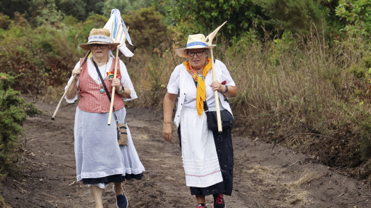 Batalla de Brión226 aniversario35ª marcha polos montes de Brión