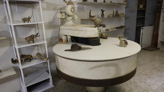 Taller de Tin Sánchez Espiñeira