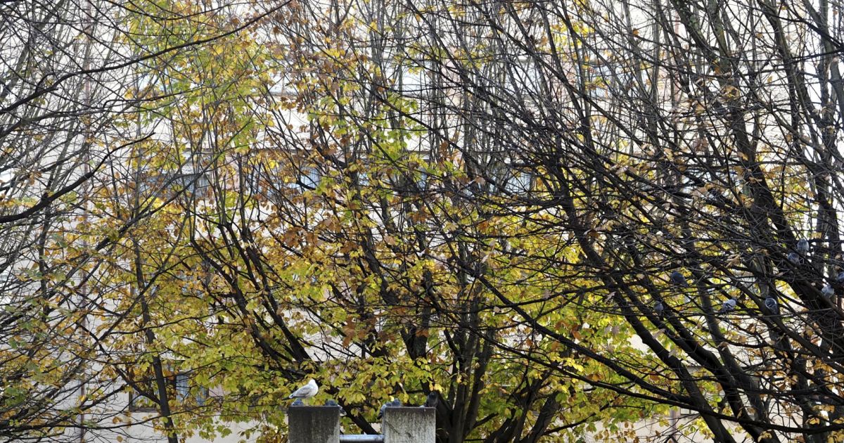 Un barrio obrero con identidad propia, eje de la expansión de la ciudad ...