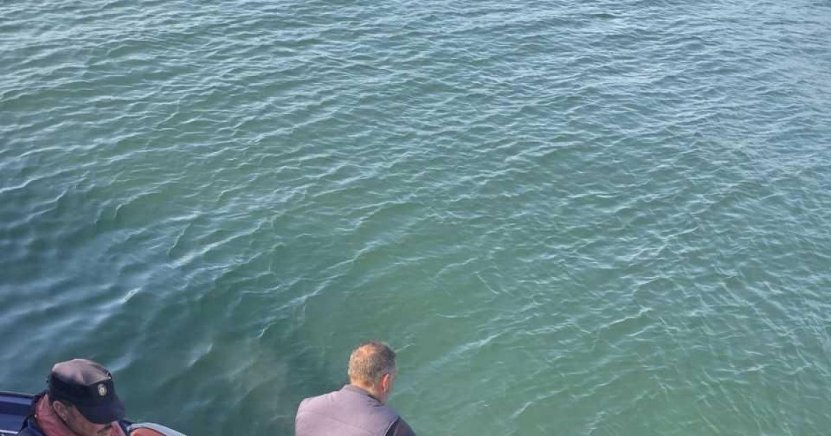 Los guardacostas decomisan 124 kilos de vieira en la ría de Ferrol